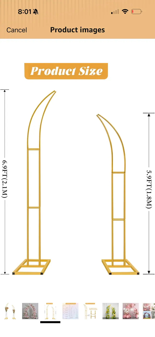 Arched Backdrop Dimension Reference rental example